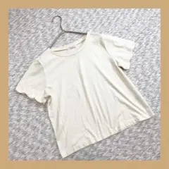 earth music &ecology◆半袖カットソー（F)　Tシャツ　白無地