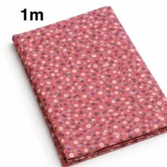 Item thumbnail for item d9ad4f67-75a9-4174-ac65-a1024e80eeb2