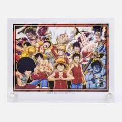 ONEPIECE 원피스 ライバルズ アクリルパネル ルフィ