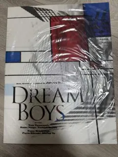 DREAM BOYS 2015 パンフレット