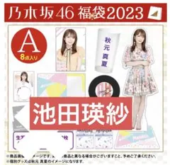 池田瑛紗　まとめ　BIGアクリルスタンド　福袋　2023 レア