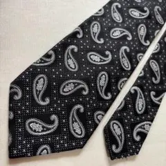 TIE YOUR TIE タイユアタイ リネンペイズリー柄 ネクタイ イタリア製