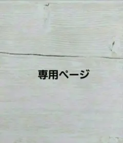 ✩.*˚専用ページ✩.*˚