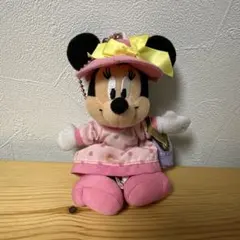 ミニーマウス vacation packages