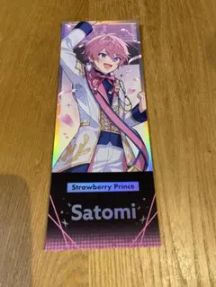 STPR Family Festival ランダムホログラムチケット