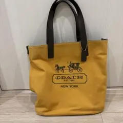 COACH トートバッグ ヴァリゲイテッド ストライプリバーシブルF70653