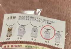 わんこのタイムカプセル　【モカ】