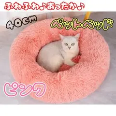 Item thumbnail for item cf23b1dd-724f-43cf-839f-6049f4ade7b9