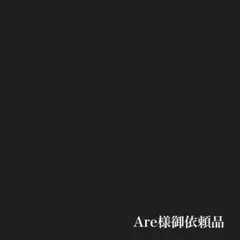 Are様御依頼品