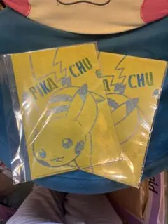 非売品　未使用ピカチュウ クリアファイル2枚セット