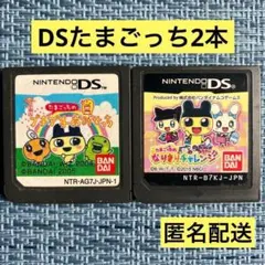 DS たまごっちのプチプチおみせっち & なりきりチャレンジ ソフトのみ