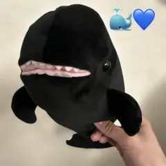 Item thumbnail for item de172b92-f35a-4842-a242-efe351f31e25