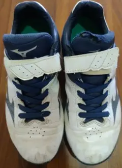 Item thumbnail for item acdfb606-9560-4a79-8d8c-d7c18f3b1332