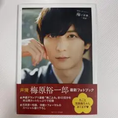早い者勝ち】高島礼子 黄桜 宣伝ポスター 未使用 販促物【非売品】5