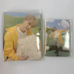 SEVENTEEN Carat盤 ディノ バインダー トレカ セット