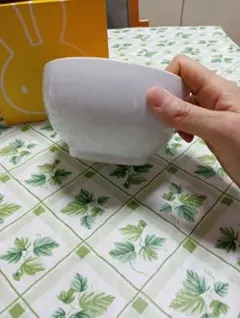 Item thumbnail for item ae51a7a2-901b-42c3-8707-7f4812825d0e