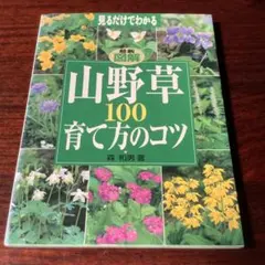 Item thumbnail for item e437596d-a65f-4e26-8bc1-3222eacc6632