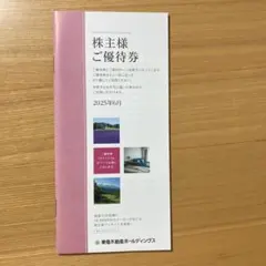 【未使用品】東急不動産ホールディングス 宿泊優待券 2025年6月発行