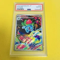 メブキジカ　AR PSA10 PSA10 連番 シキジカ メブキジカ AR - メルカリ