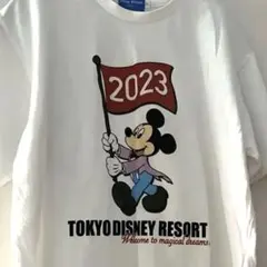 ミッキー フラッグ 東京ディズニーリゾート限定