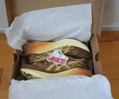 Item thumbnail for item df0d414a-b883-4687-a815-97786be36b43