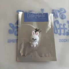 Stray Kids スキズ ペンミ ミニチャーム リービット リノ