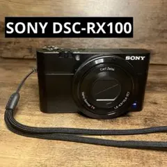 SONY DSC-RX1 初代（訳あり品） - メルカリ