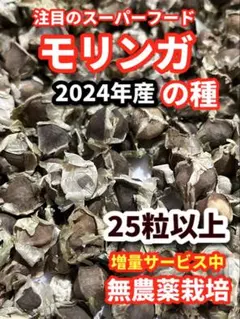 たーた様 リクエスト 2点 まとめ商品