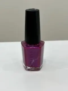 プロ用　シャレドワ　ネイルカラー　21