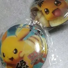 くら寿司 ビックらポン ポケットモンスター ソード＆シールド ぷくぷくマグネット