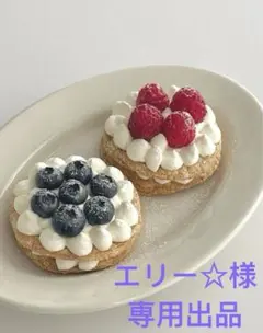 エリー☆様のご確認ため専用出品　ミニチュア 12/18