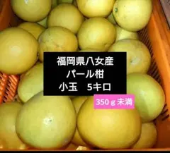 2026年最新】パール柑の人気アイテム - メルカリ