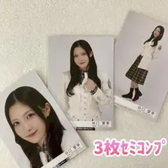 Item thumbnail for item 7309b973-a5e2-4847-a71d-29114f9401a6