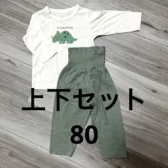 トリケラトプス 長袖 パジャマ 上下セット 80 西松屋 薄手 ベビー まとめ