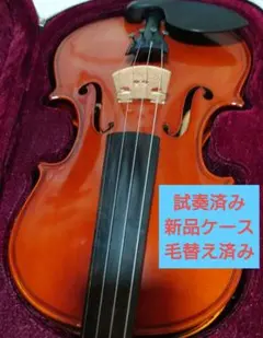 2026年最新】EASTMAN vl80 4/4の人気アイテム - メルカリ