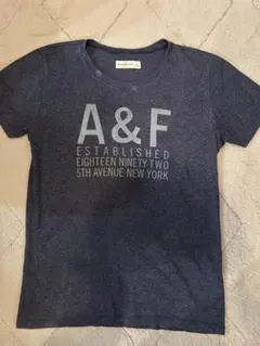 Abercrombie & Fitch ネイビー Tシャツ