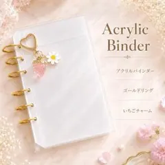 アクリルバインダー いちごチャーム付き ピンク A6 バインダー貯金 家計管理のサムネイル
