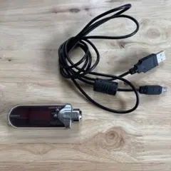 SONY ウォークマン NW-E405 中古品 動作確認済 ローズレッド 美品即決【充電器付】SONY スティック型ウォークマン NW-E405 ローズ