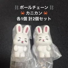 MINITEEN つまんでつなげてますこっと CHOITCHERRY スンチョルのサムネイル