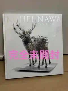 2026年最新】名和晃平の人気アイテム - メルカリ