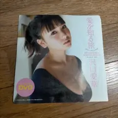 【新品未開封】DVD 沢口愛華『愛を知る旅』　週刊プレイボーイ 付録
