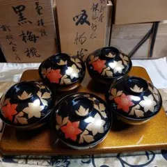 Item thumbnail for item 7f6e658b-e805-4f11-b525-3ccc70ff6cd4