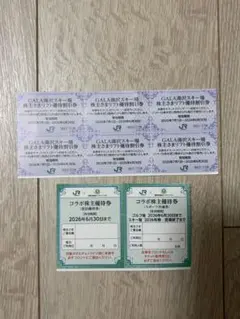 GALA湯沢スキー場　リフト優待割引券　6枚　宿泊優待券
