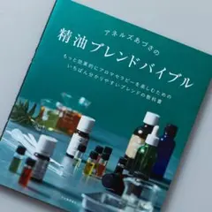 Item thumbnail for item f07cd2a0-ac3b-4b61-90fa-f63b284ce4ec