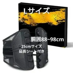 腰サポーター コルセット 腰痛ベルト 骨盤矯正 背筋トレーニング 滑車 腰痛予防