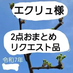 エクリュ様 リクエスト 2点 まとめ商品