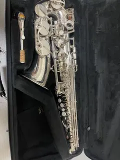 Item thumbnail for item 75c59273-9ff1-454d-af9c-655c527e4e1a