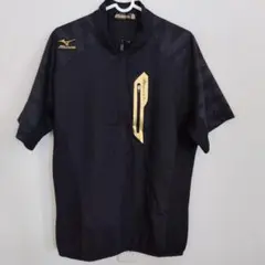 2025年最新】ミズノ ミズノプロ ハーフジップの人気アイテム