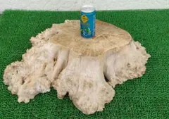 【天然木・大型】極上 杢目 瘤木（こぶ材）敷き板 花台 置物台のサムネイル