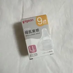 Item thumbnail for item f3b02f5e-a16d-4a89-829b-65d6e0db249b